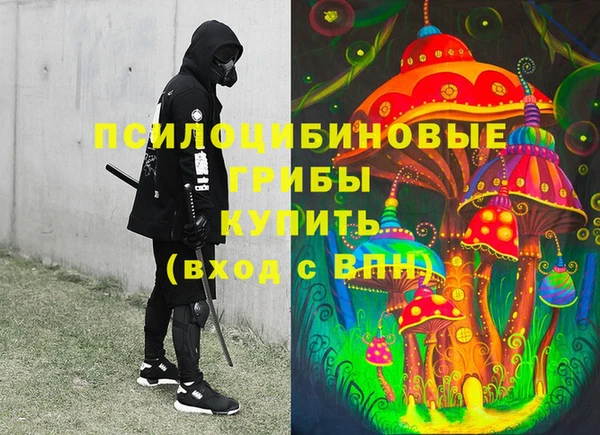 стафф Баксан