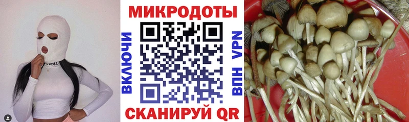 нарко площадка телеграм  Ивангород  Псилоцибиновые грибы ЛСД  мега маркетплейс 